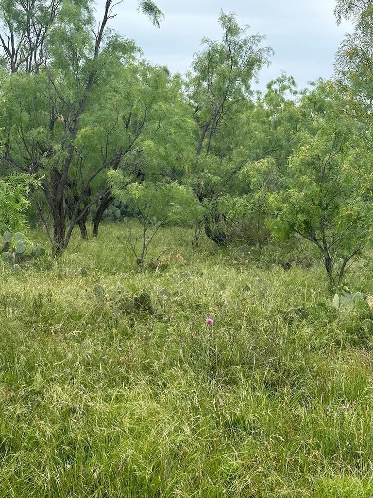 9510 Iron Spoke Trail #15, Carlsbad, Texas image 6