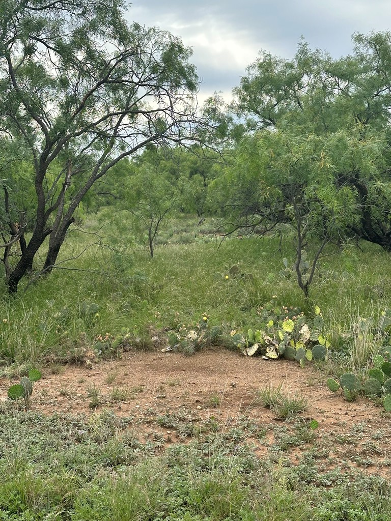 9510 Iron Spoke Trail #15, Carlsbad, Texas image 4