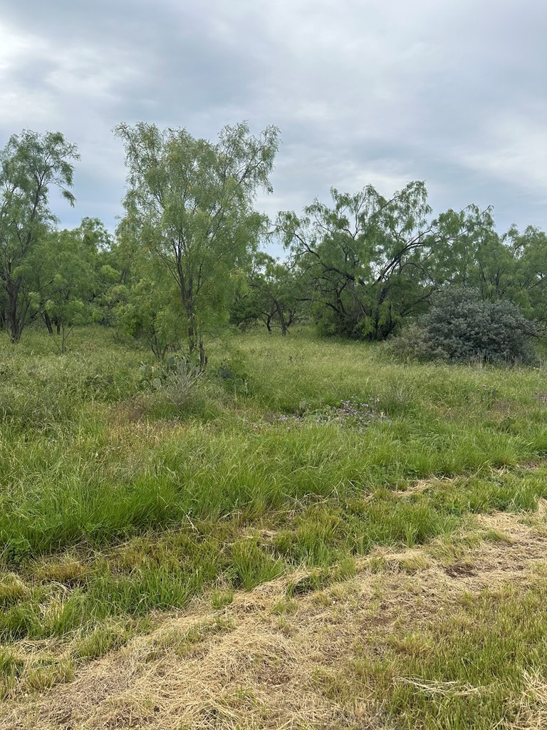 9510 Iron Spoke Trail #15, Carlsbad, Texas image 5