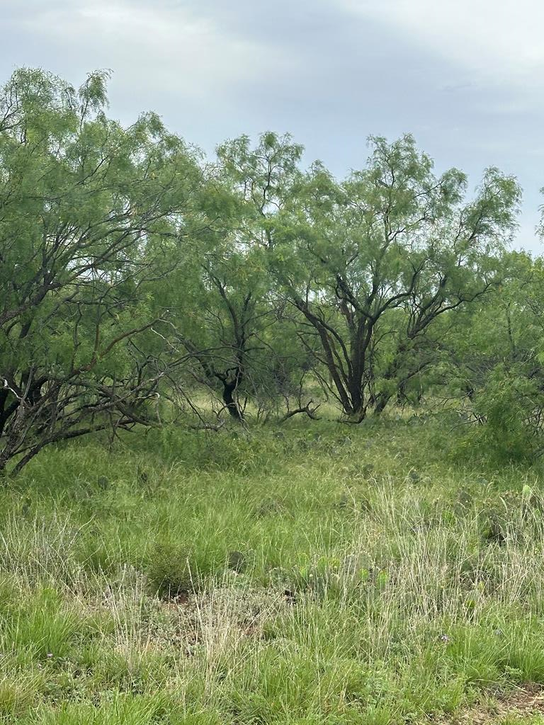 9510 Iron Spoke Trail #15, Carlsbad, Texas image 1