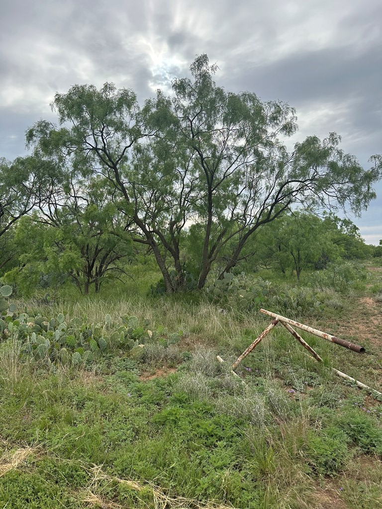 9510 Iron Spoke Trail #15, Carlsbad, Texas image 2