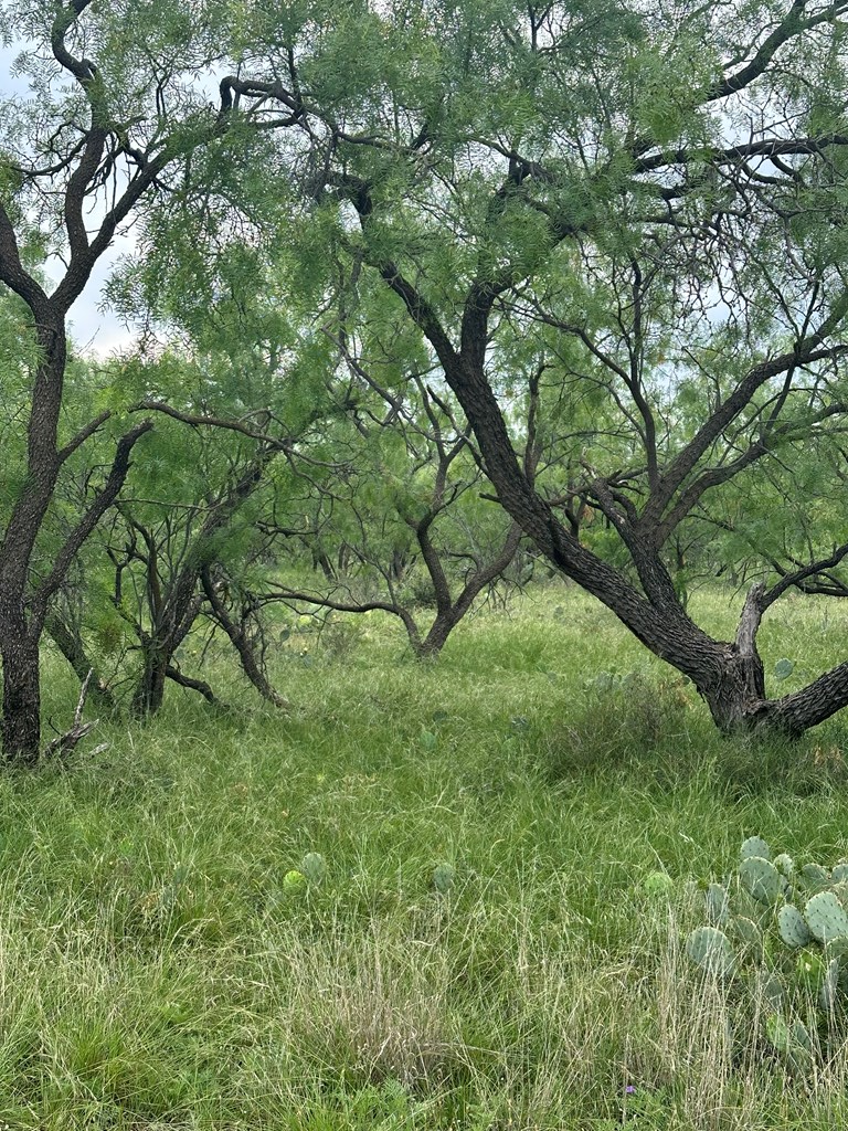 9510 Iron Spoke Trail #15, Carlsbad, Texas image 3