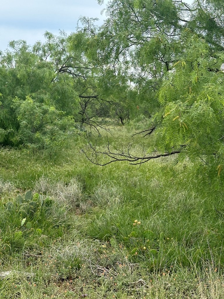 9510 Iron Spoke Trail #15, Carlsbad, Texas image 8