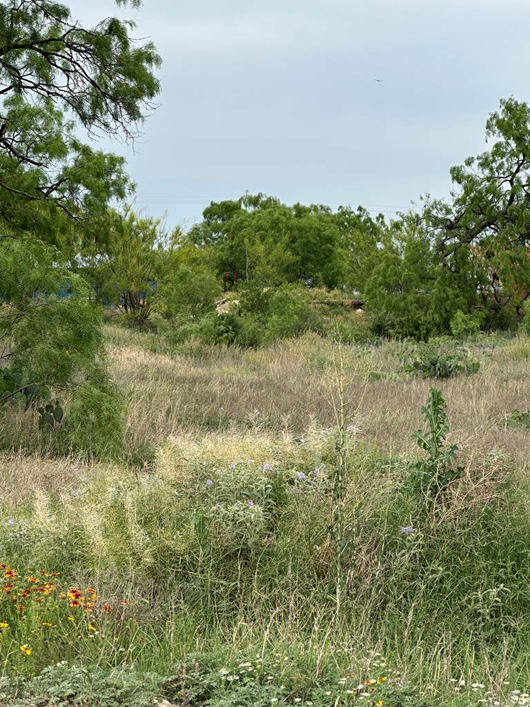 1310 Veck St #10, San Angelo, Texas image 7