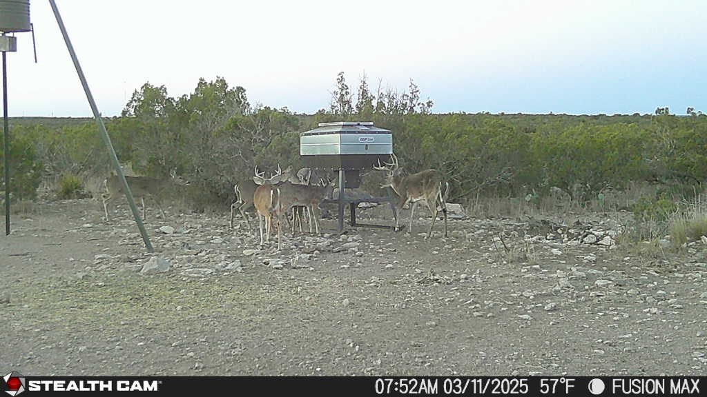 1000 Bowline Rd #26, Ozona, Texas image 14