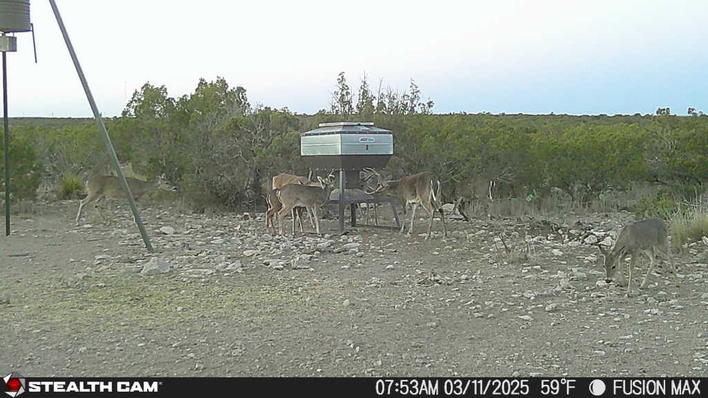 1000 Bowline Rd #26, Ozona, Texas image 15