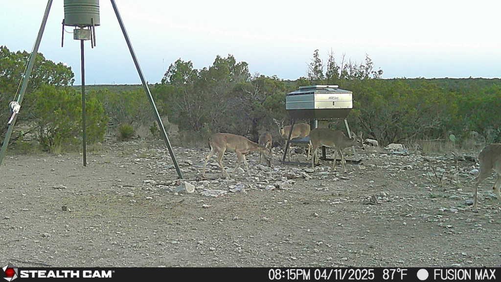 1000 Bowline Rd #26, Ozona, Texas image 12
