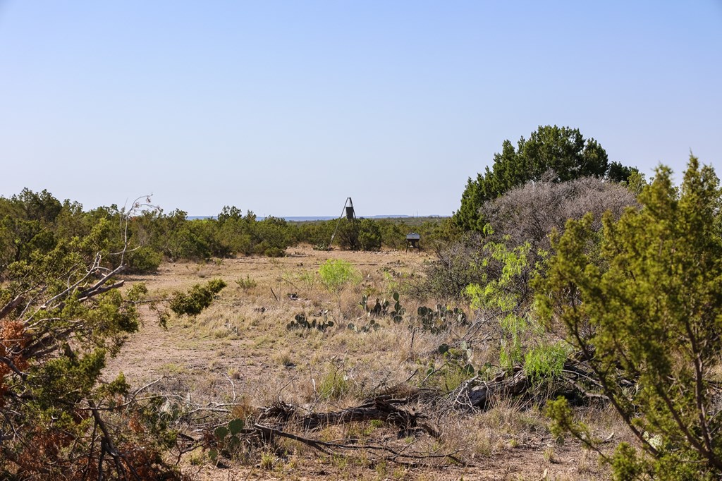 1000 Bowline Rd #26, Ozona, Texas image 3