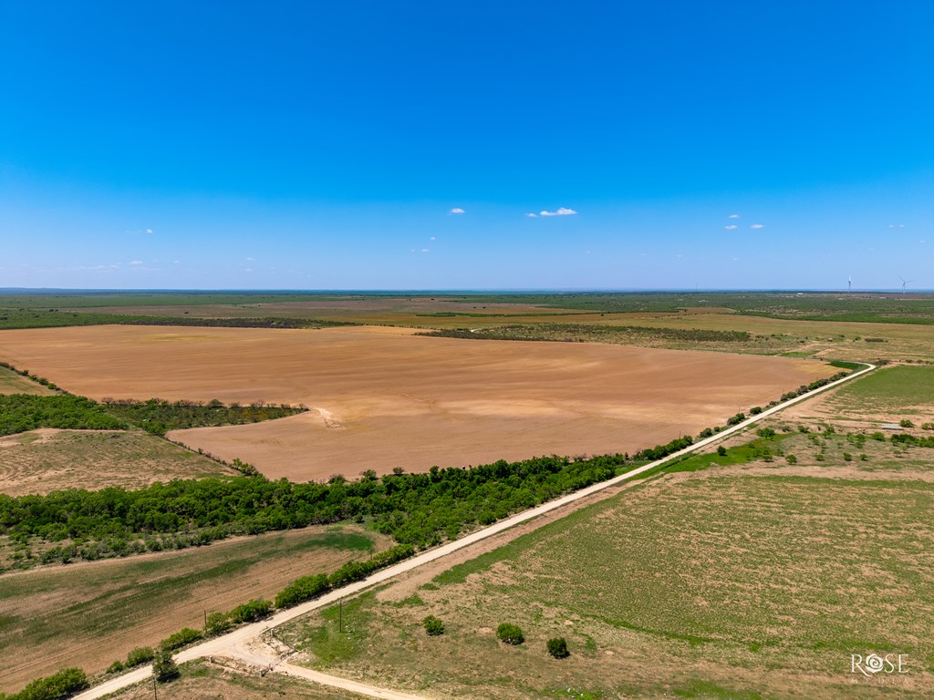 County Rd 2041, Eden, Texas image 16