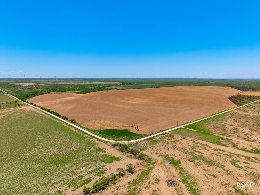 County Rd 2041, Eden, Texas image 5