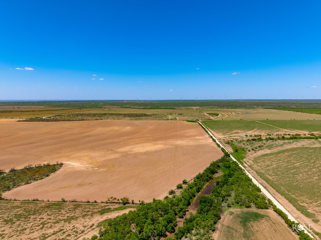 County Rd 2041, Eden, Texas image 6