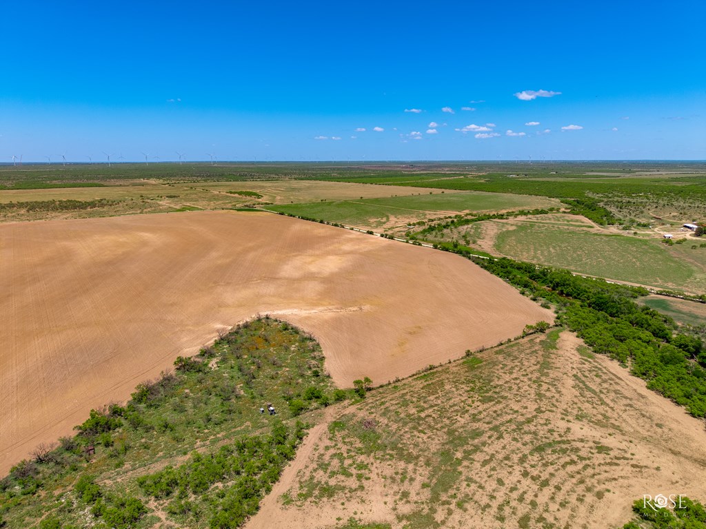 County Rd 2041, Eden, Texas image 7