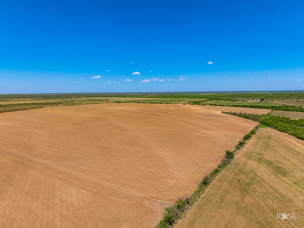 County Rd 2041, Eden, Texas image 9