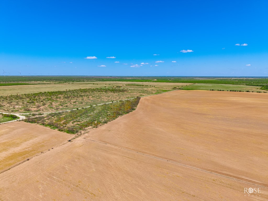 County Rd 2041, Eden, Texas image 22