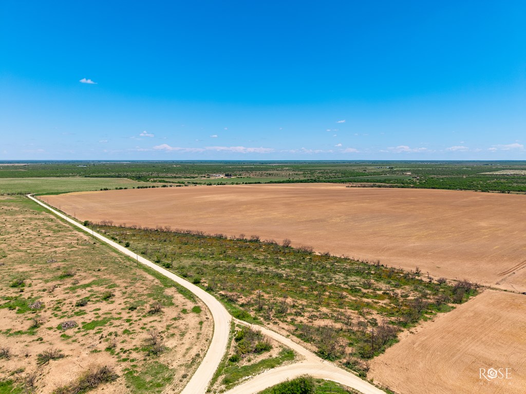 County Rd 2041, Eden, Texas image 19