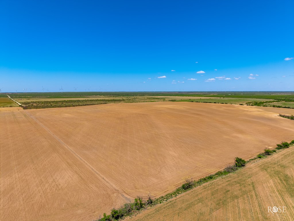 County Rd 2041, Eden, Texas image 10