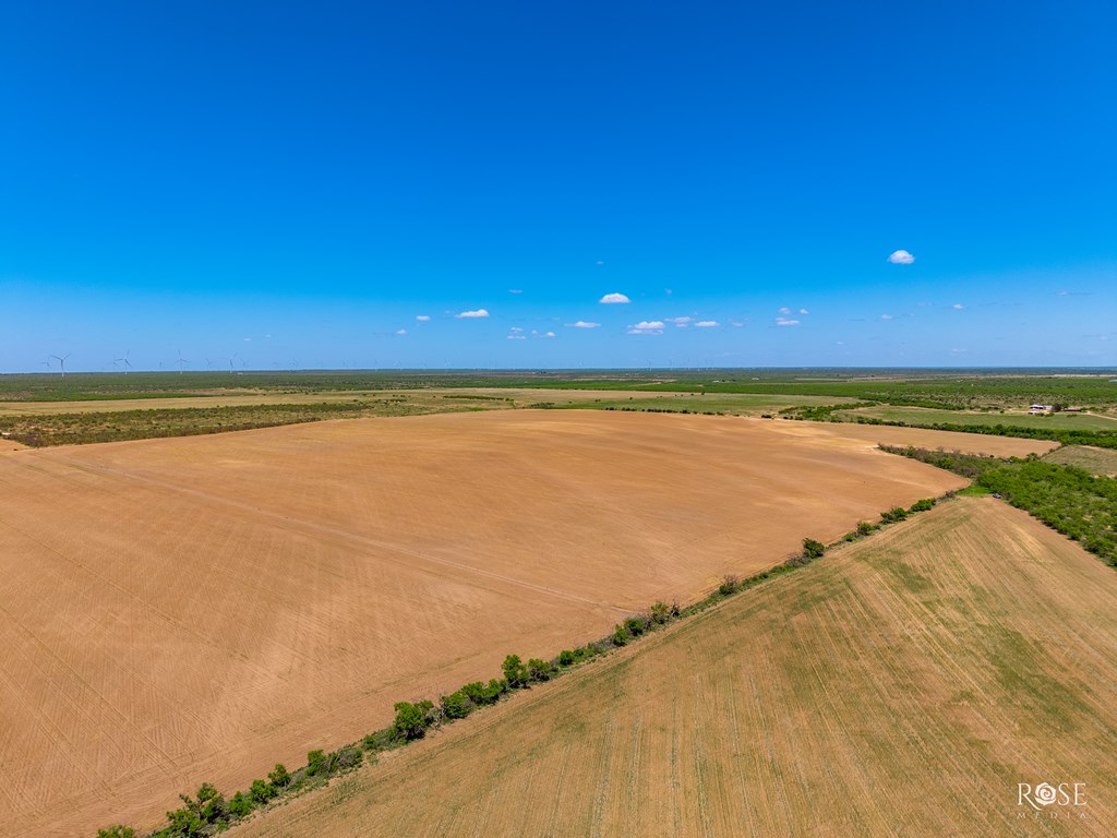County Rd 2041, Eden, Texas image 13