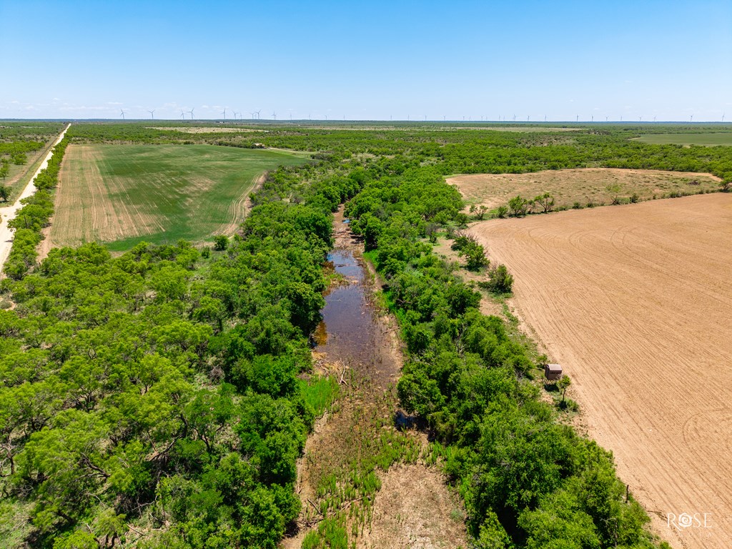 County Rd 2041, Eden, Texas image 3