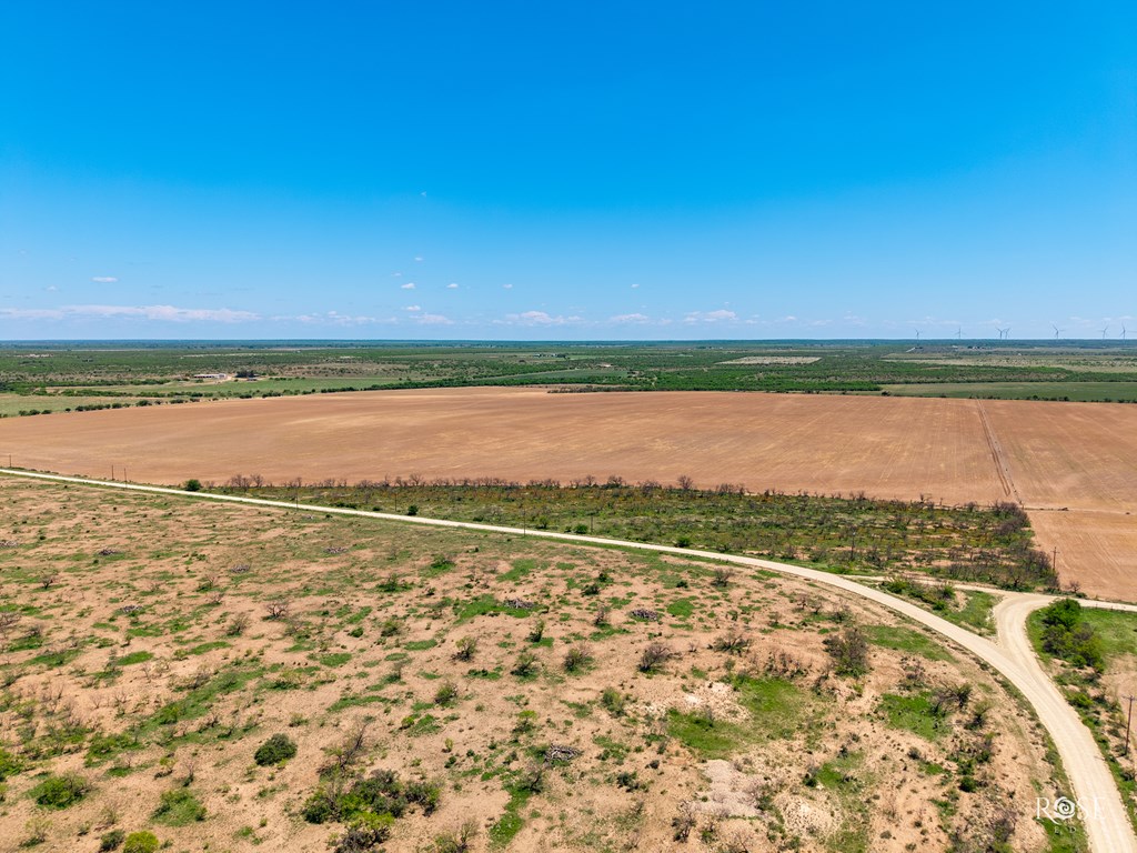County Rd 2041, Eden, Texas image 20