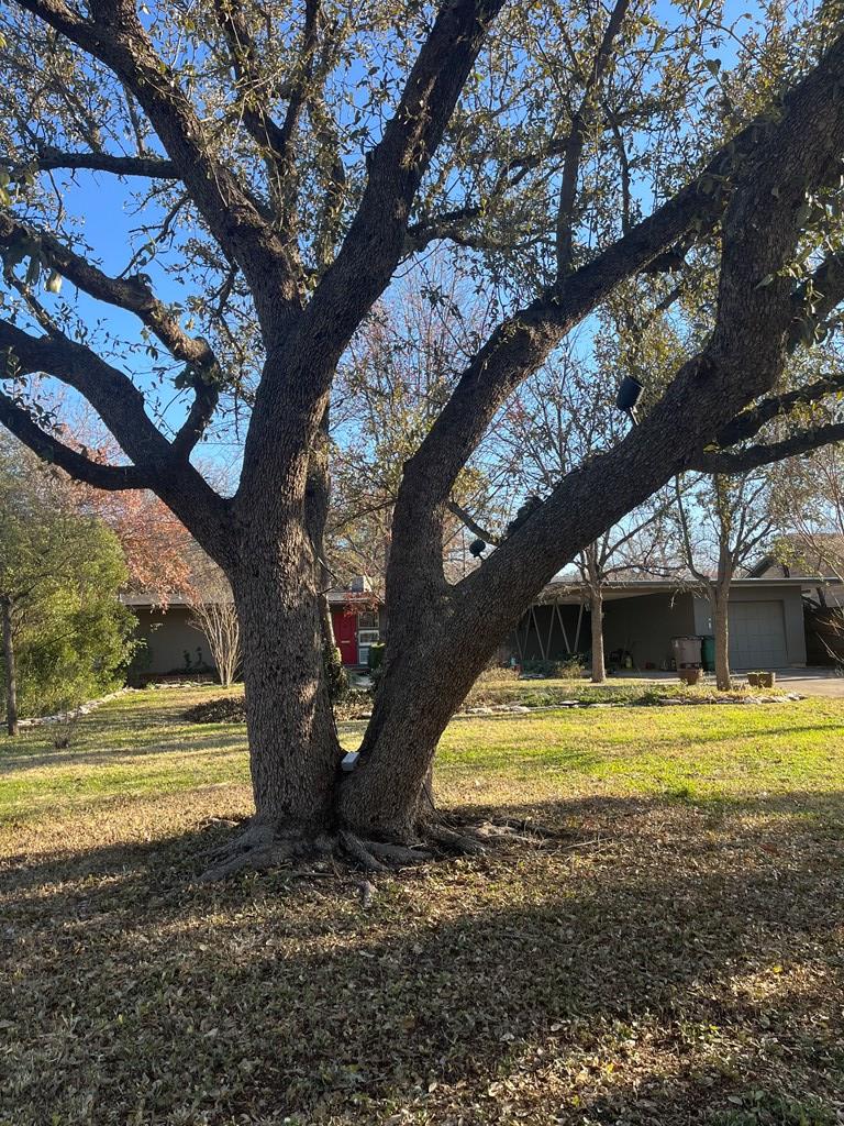 2539 Twohig Ave, San Angelo, Texas image 4