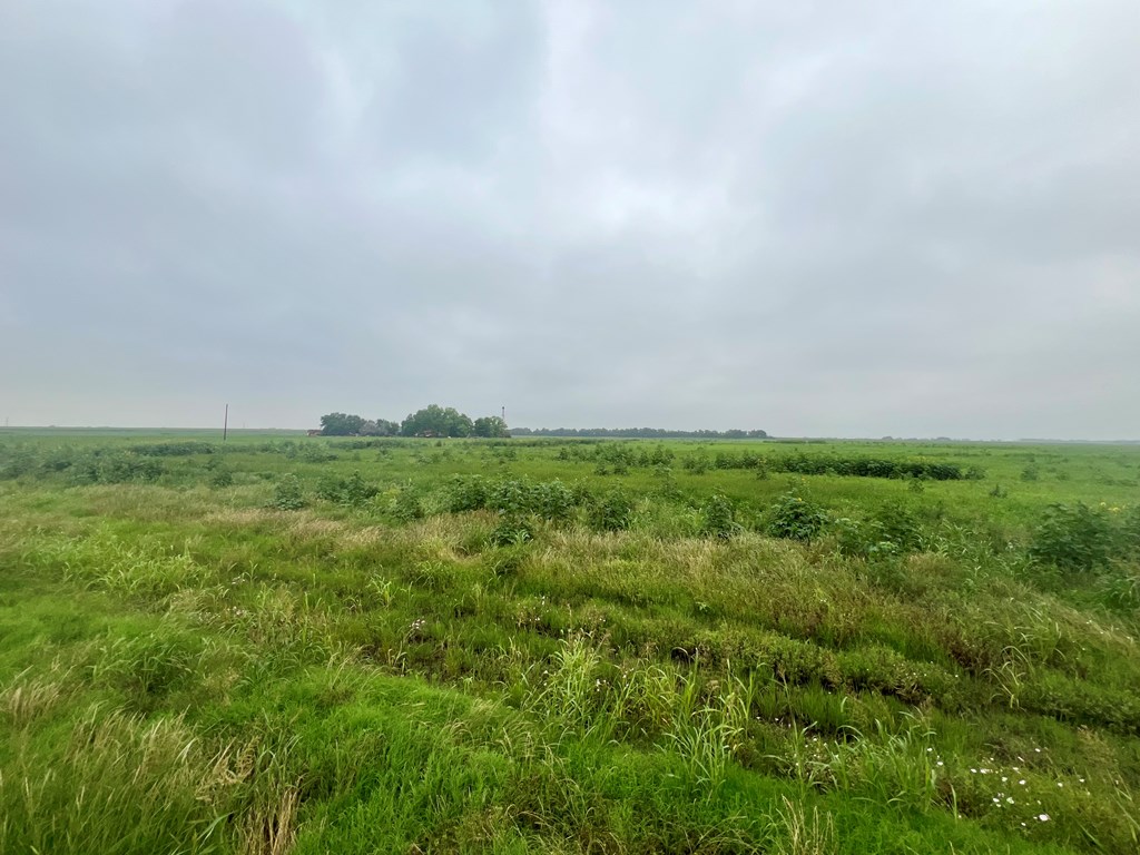 1701 County Rd 364, Granger, Texas image 3