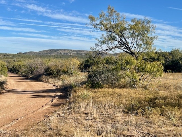 00 Other, Robert Lee, Texas image 3