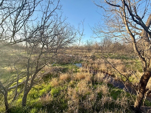 00 County Rd 288, Ballinger, Texas image 13