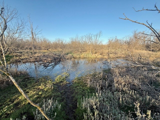 00 County Rd 288, Ballinger, Texas image 11