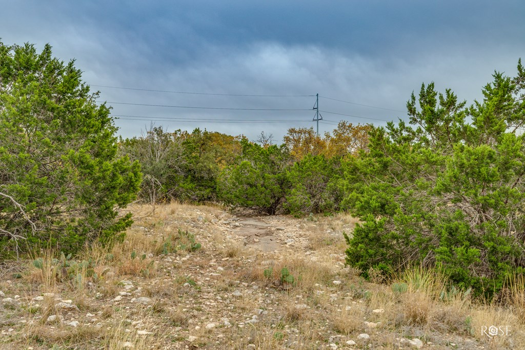 Hwy 277n #21,23,24,25, Sonora, Texas image 7