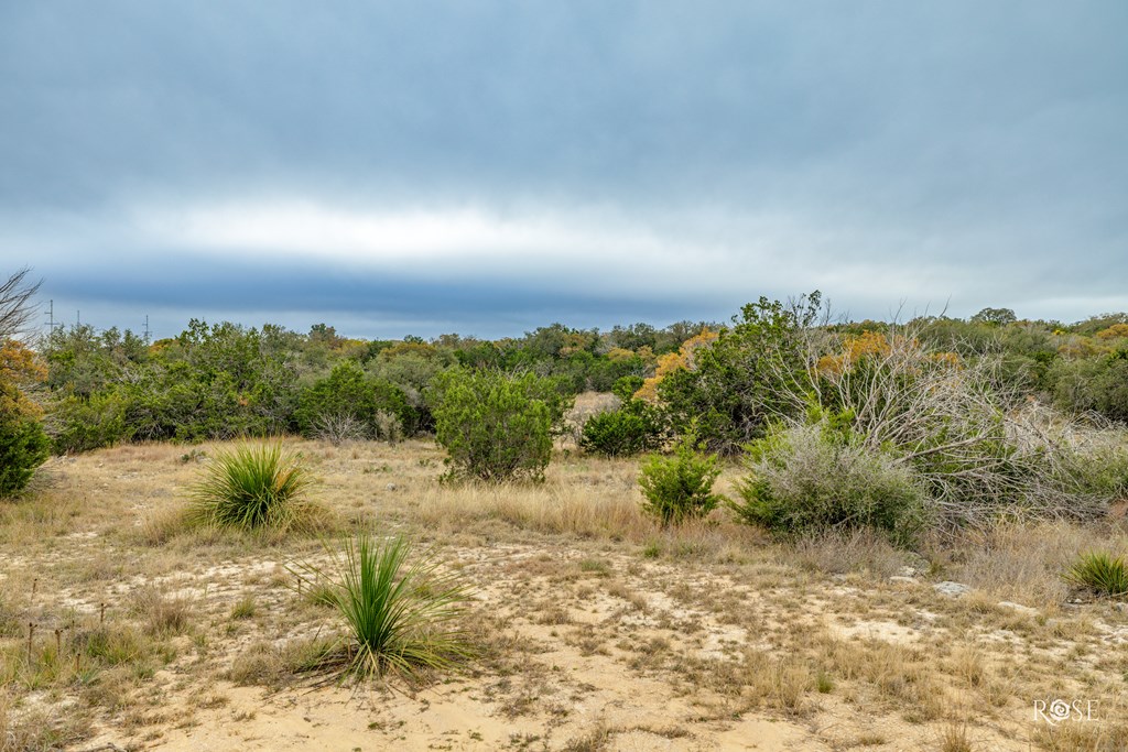 Hwy 277n #21,23,24,25, Sonora, Texas image 3