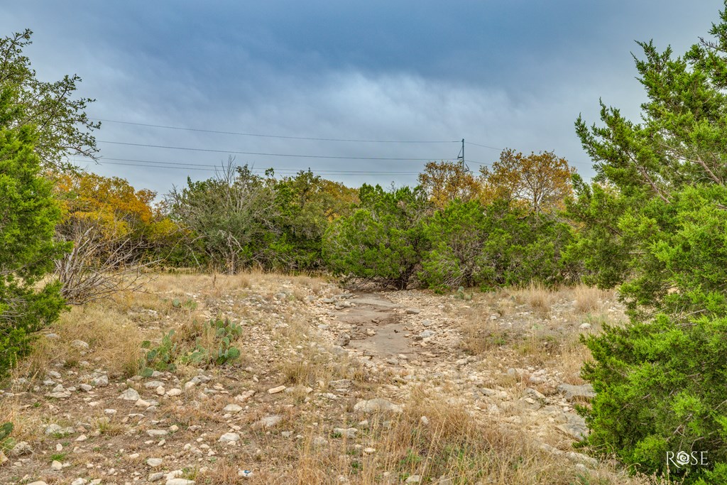 Hwy 277n #21,23,24,25, Sonora, Texas image 8