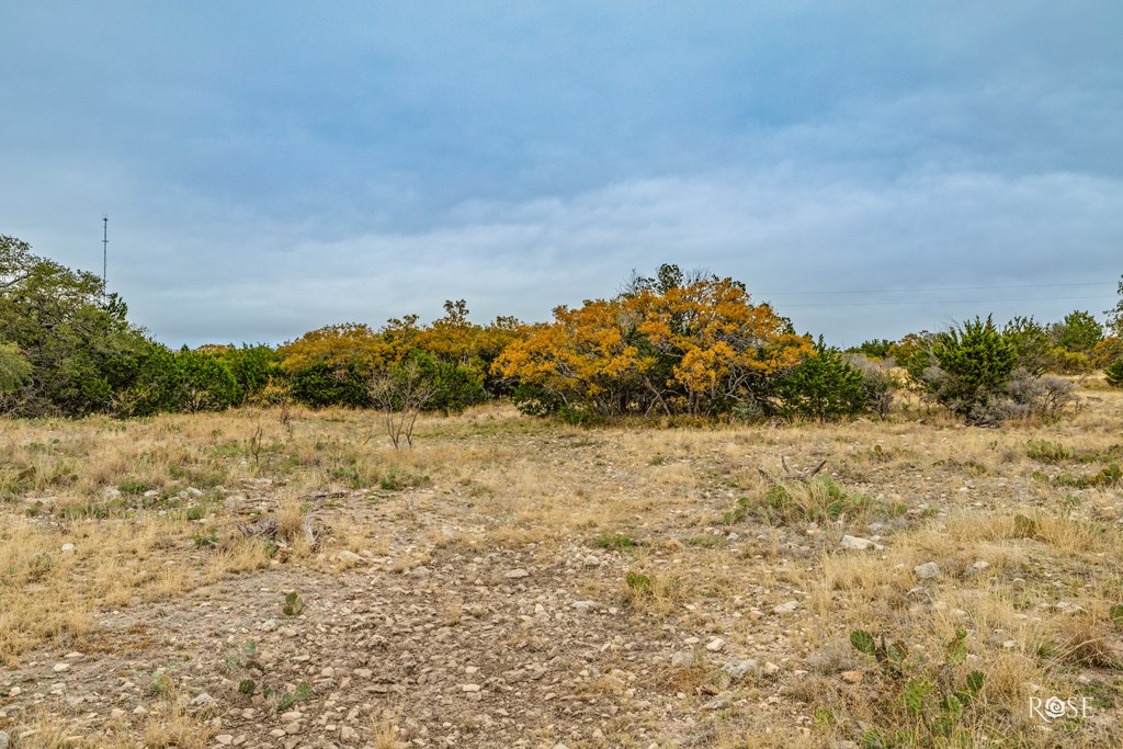 Hwy 277n #21,23,24,25, Sonora, Texas image 9