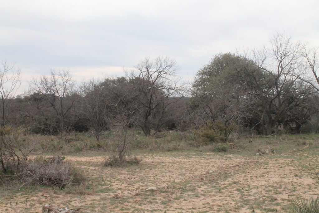 San Angelo, Texas 76904, United States, ,Land,Active,63094