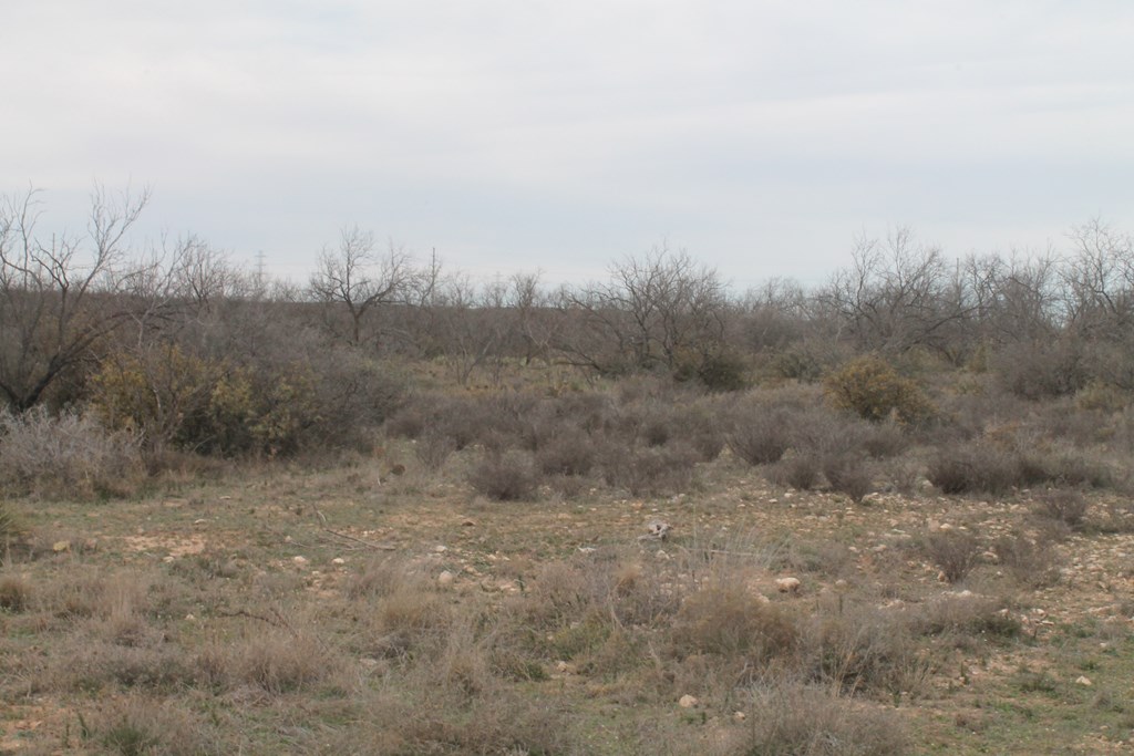 San Angelo, Texas 76904, United States, ,Land,Active,63094