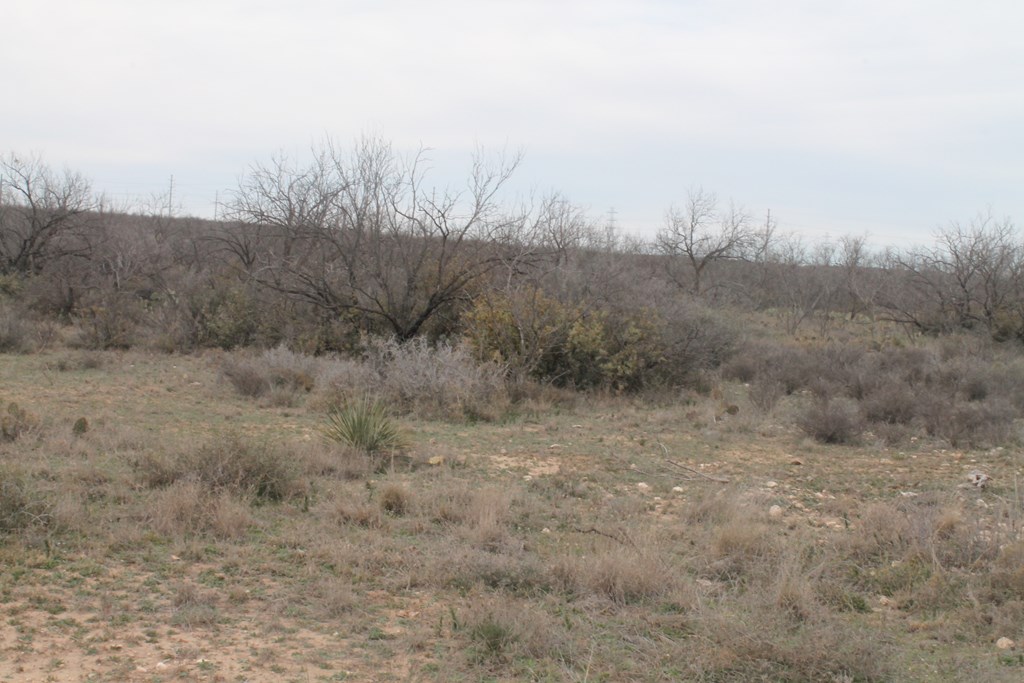 San Angelo, Texas 76904, United States, ,Land,Active,63094