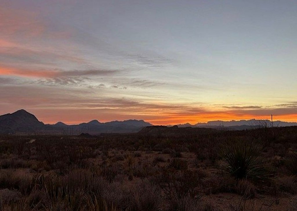 10 Falcon Lane, Terlingua, Texas image 24