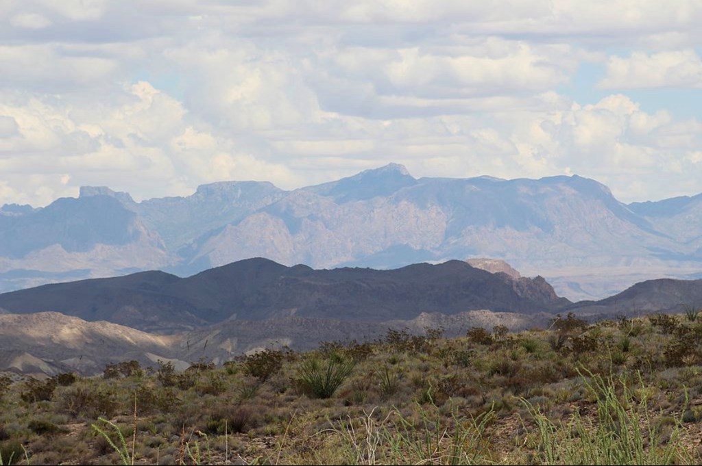 10 Falcon Lane, Terlingua, Texas image 27