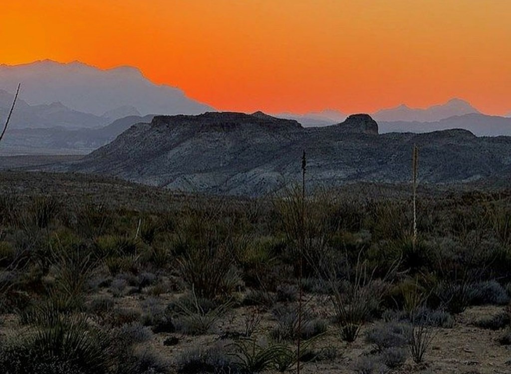 10 Falcon Lane, Terlingua, Texas image 25