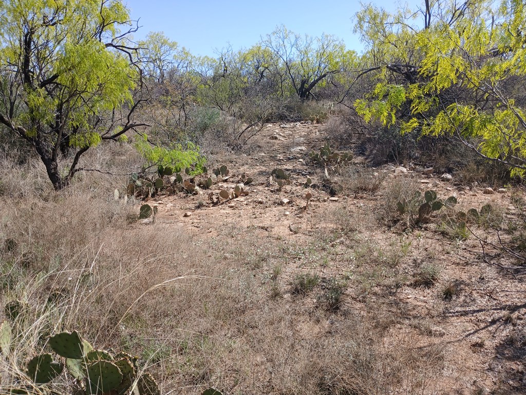 E Fm 765, Millersview, Texas image 8