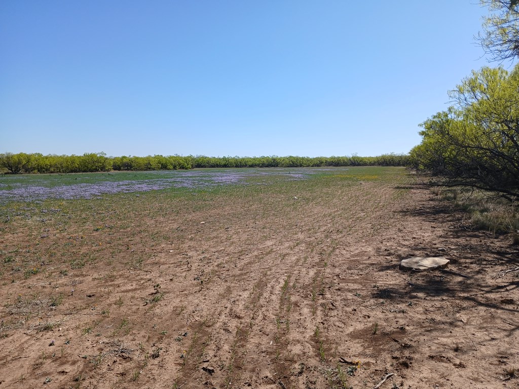 E Fm 765, Millersview, Texas image 4