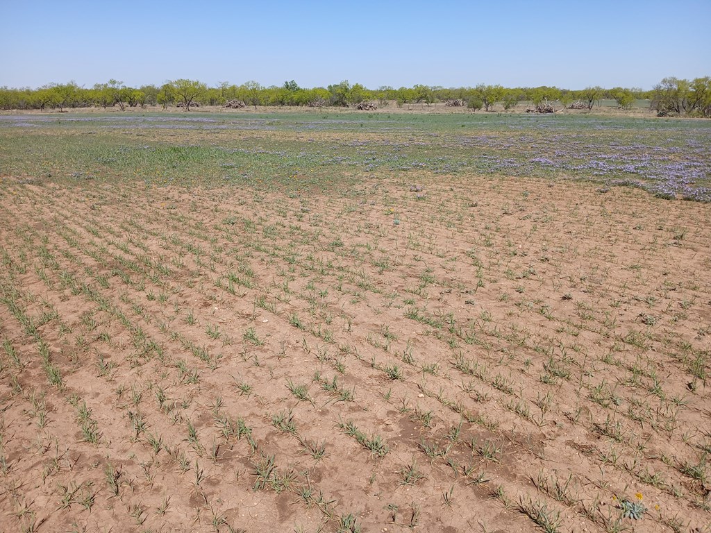 E Fm 765, Millersview, Texas image 7