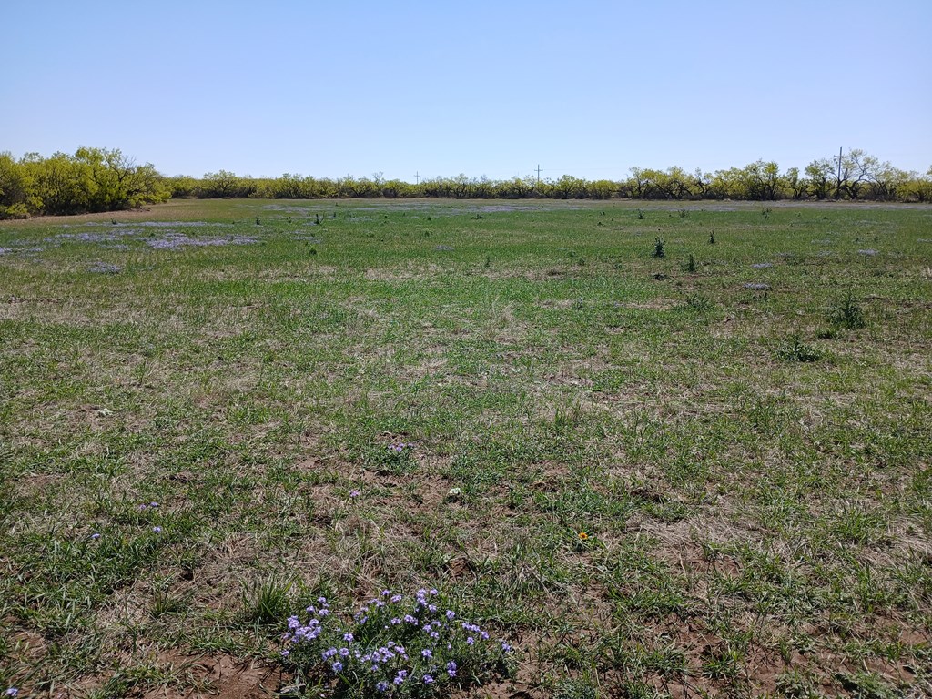 E Fm 765, Millersview, Texas image 14