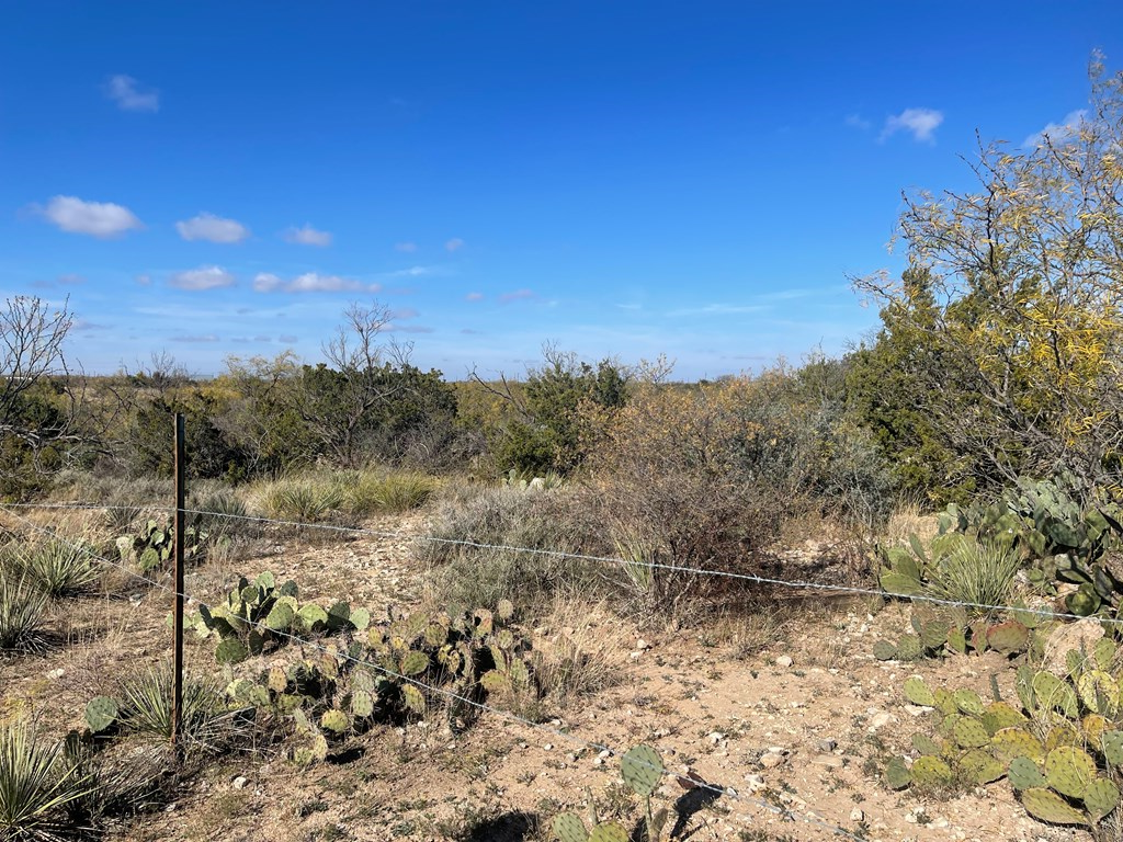 000 Paisano Lane, San Angelo, Texas image 10