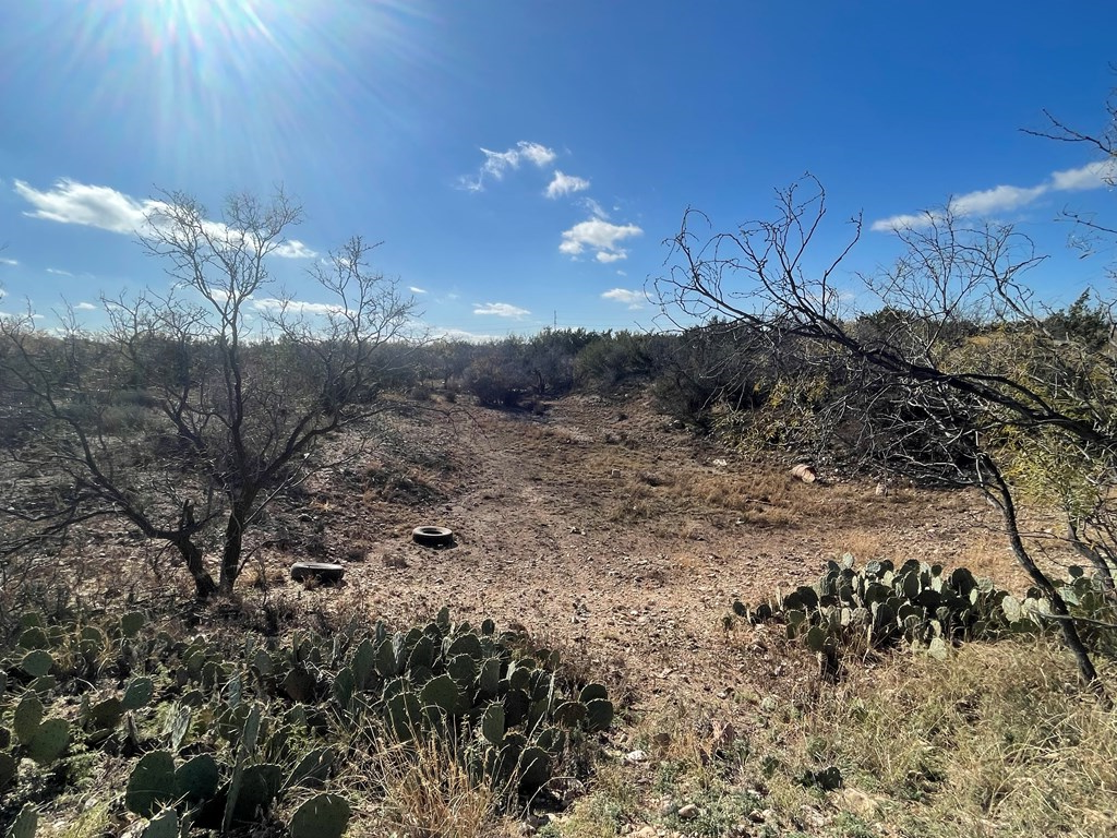 000 Paisano Lane, San Angelo, Texas image 4