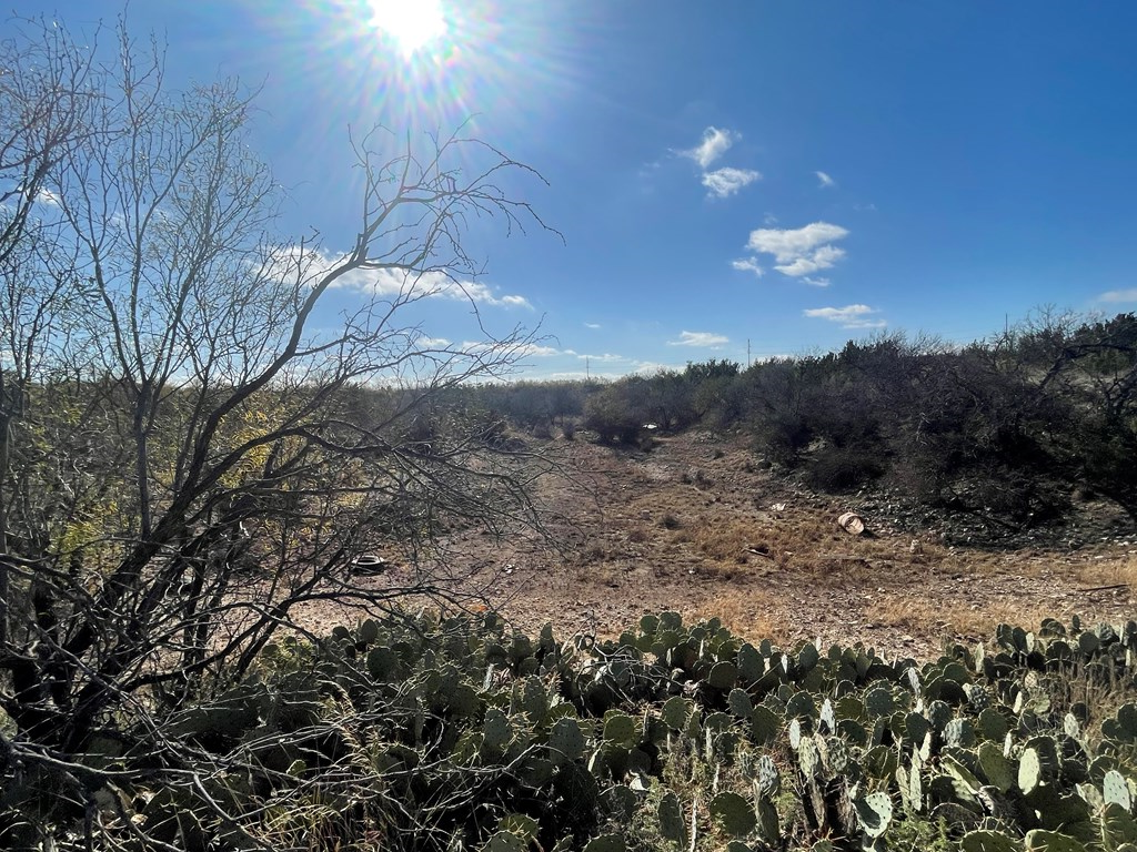 000 Paisano Lane, San Angelo, Texas image 3