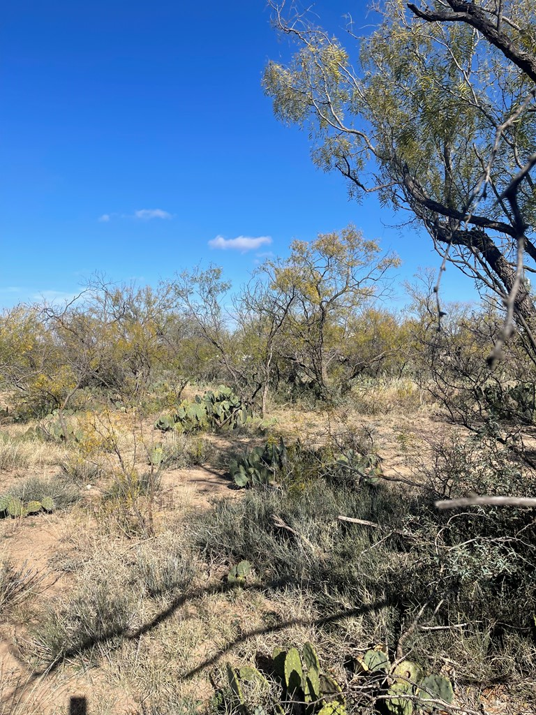 000 Paisano Lane, San Angelo, Texas image 6