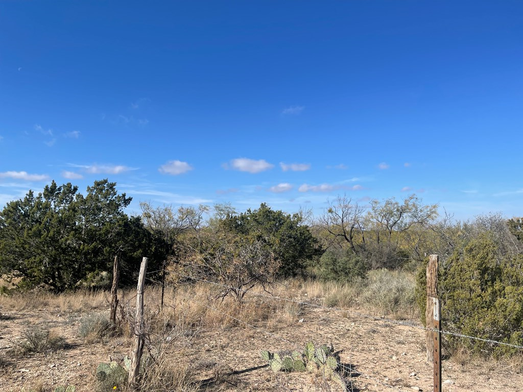 000 Paisano Lane, San Angelo, Texas image 9