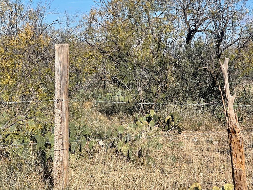 000 Paisano Lane, San Angelo, Texas image 11