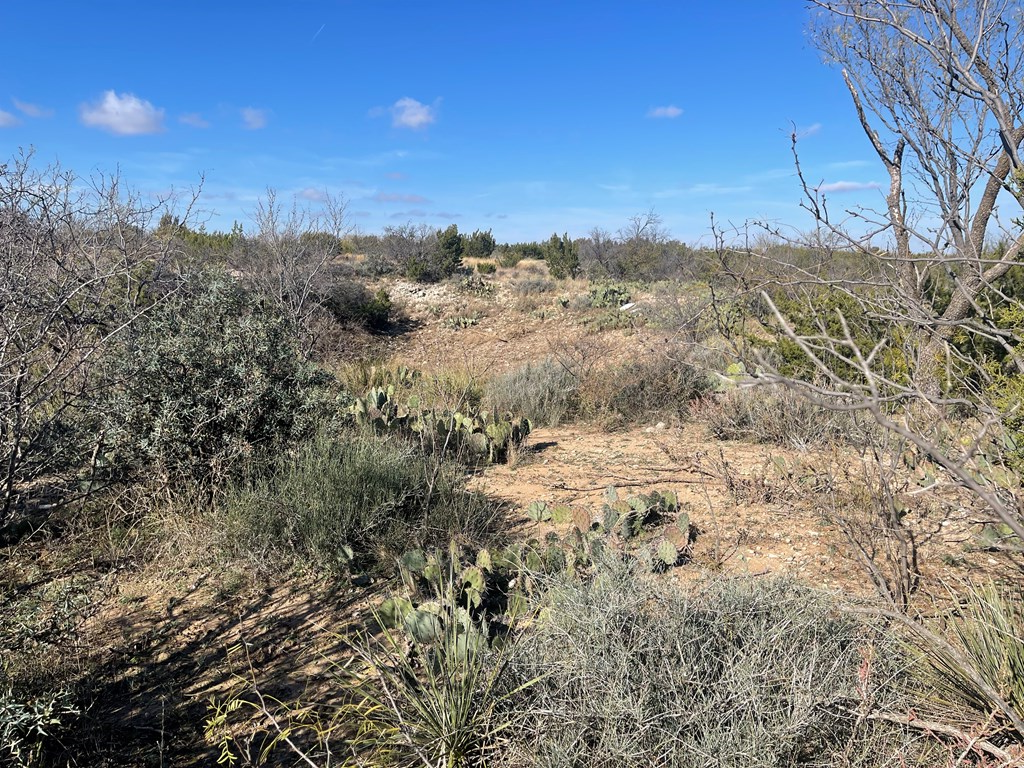 000 Paisano Lane, San Angelo, Texas image 12