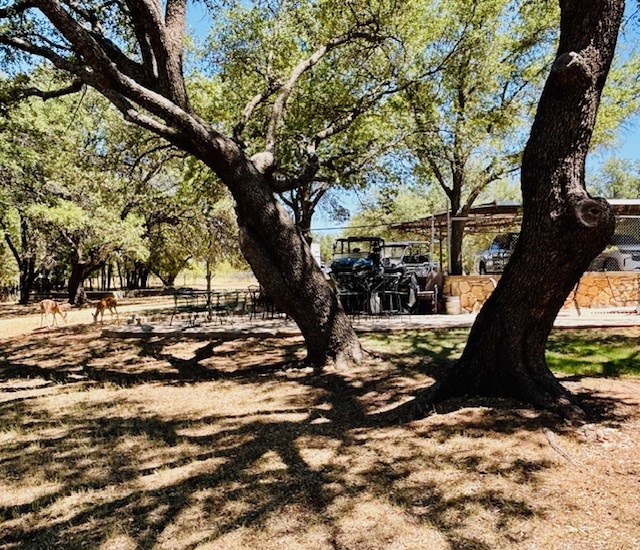 228 Wheat Circle, Blackwell, Texas image 42
